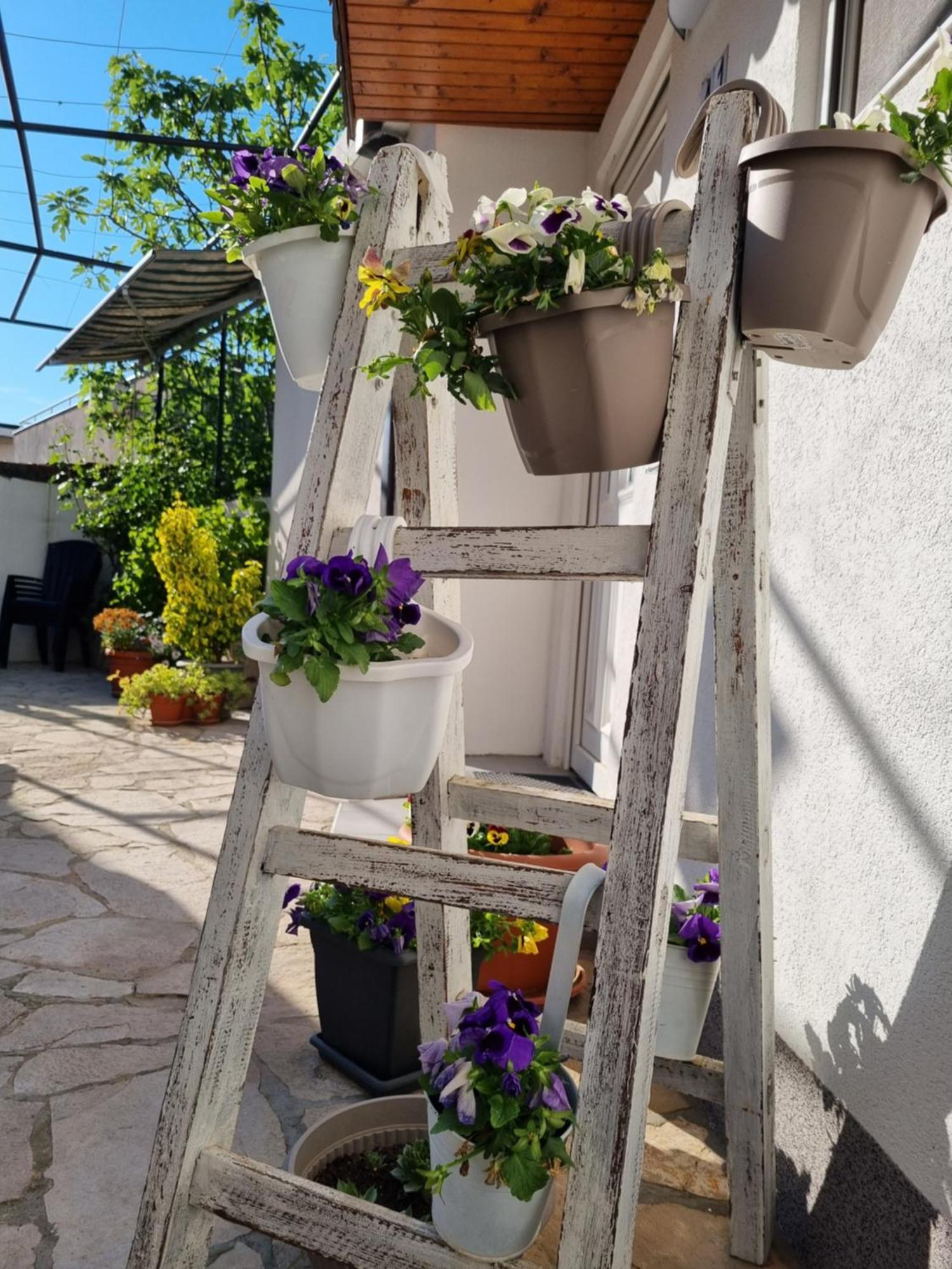 מוסטר Apartments Deni מראה חיצוני תמונה